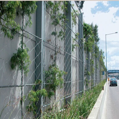 Stainless Steel Cable Mesh Wire Rope Plant Trellis - Customizable Size, Corrosion Resistant, Fall Prevention Green Wall Mesh
