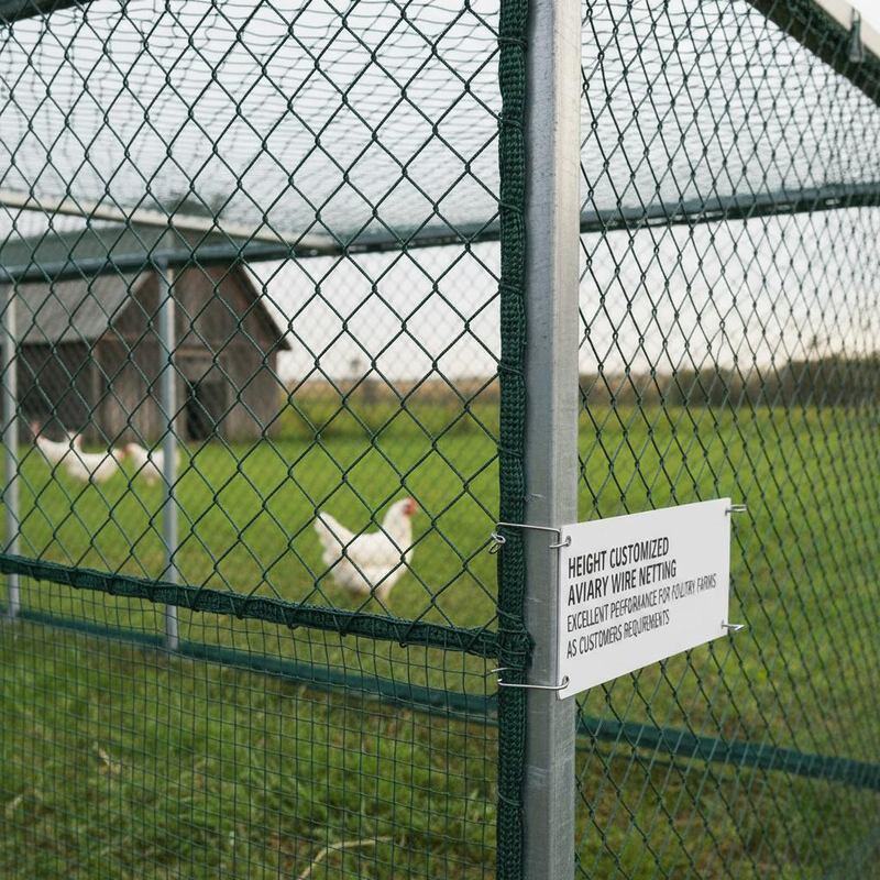 Height Customized Aviary Wire Netting Providing Excellent Performance for Poultry Farms As Customers Requirements