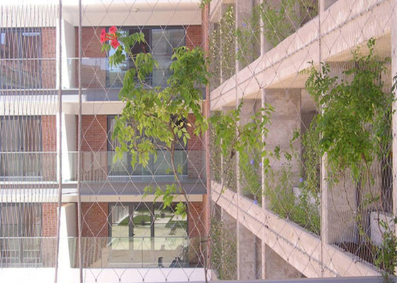 Planta que escala a malha de aço inoxidável 3.2mm do cabo da parede verde