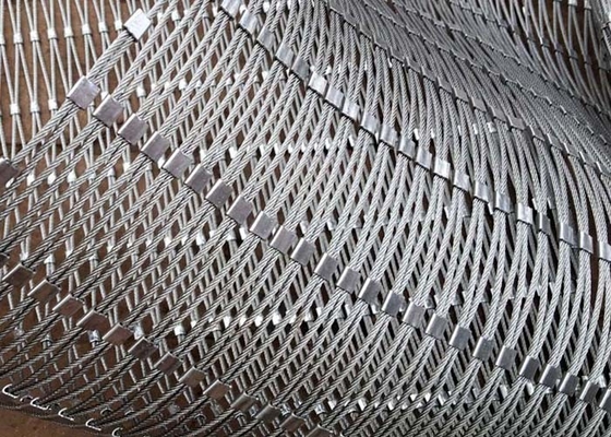 o fio SS X de 2.0Mm tende o cabo Mesh With Ferrule Non Rusting para protetor