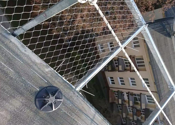 Prova de aço inoxidável do tempo de Mesh Fencing 2.0mm da corda de fio do SUS 316