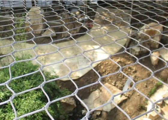 A durabilidade alta SUS316 encerrou o fio Mesh Animal Wire Mesh do jardim zoológico