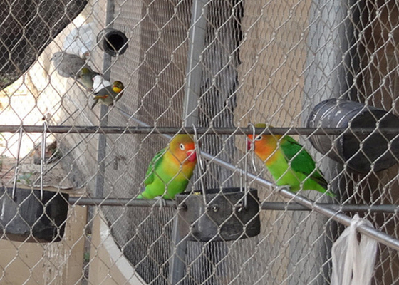 Rede de aviário leve de arame prata com abertura de 30 mm x 30 mm