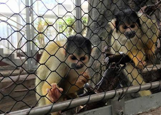 Tipo tecido da rede da malha da corda do aviário dos SS do óxido diamante flexível preto