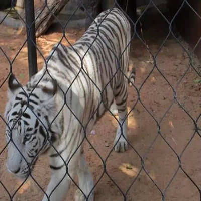 Fios de aço inoxidável flexíveis, de malha de arame de proteção para jardins zoológicos