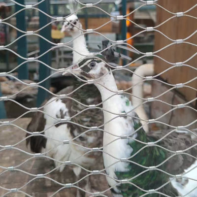 Rede de fios de aviário Rede de cabos de fios flexíveis para jardins zoológicos