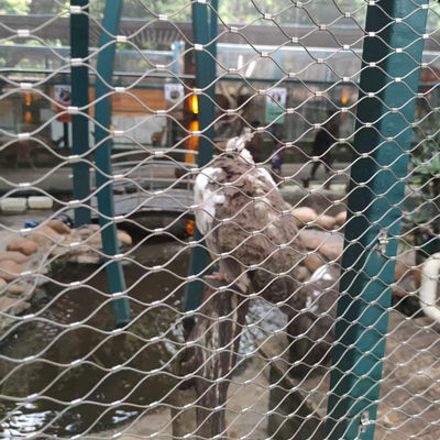 SS304 SS316 Rede de fios de aço inoxidável Rede de cabos de segurança zoológico