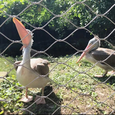 Rede de cabos de aço inoxidável para rede aviária de pássaros do zoológico