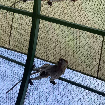 Rede de malha de cabo de aço inoxidável tecido para viveiro de pássaros, zoológico, proteção de encostas