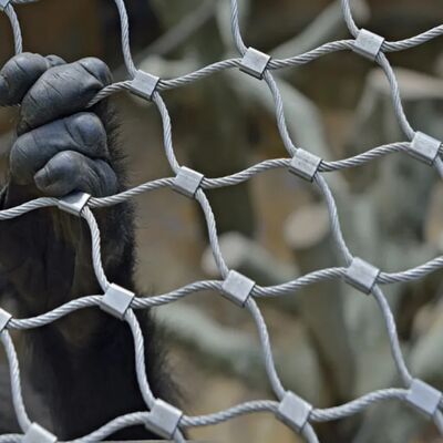 Rede de cabos de aço inoxidável robusta projetada para barreiras de segurança