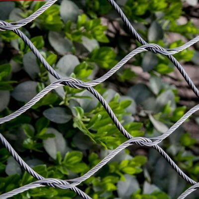 Rede de cabos flexíveis de aço inoxidável concebida para a segurança em projectos arquitetónicos