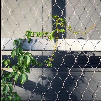 Tipo de Ferrula Rede de Corda de Aço Inoxidável Para Plantas Verdes Trepadeiras