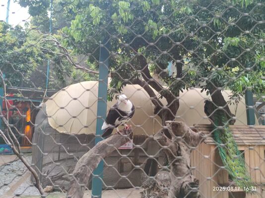 316 Rede de segurança de cabos de aço inoxidável