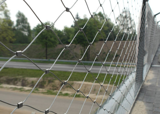 Trilhos da ponte e malha de aço inoxidável 60x60mm da corda da virola da balaustrada