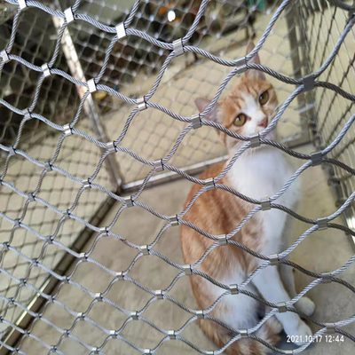 O metal X tende a rede 1 x 19 do aviário do jardim zoológico dos aviários do pássaro