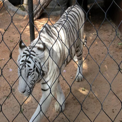 7 x 7 gaiolas animais de Mesh High Strength Fence For da corda de aço inoxidável da virola