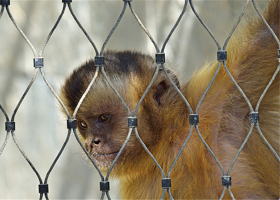 A corda de fio de grande resistência Mesh For Aviary Zoo Bird de 1.5mm prende