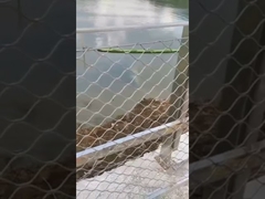 Cercas de malha de fio de corda