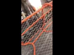 Cercas de malha de fio de corda