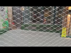 Rede florestal de aves