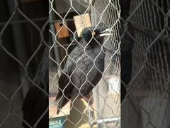 Rede de corda de aço inoxidável forte e flexível, tipo virola macia e durável, com nós