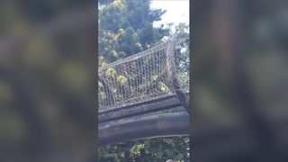 Rede de corda de aço inoxidável para proteção contra quedas de jardim