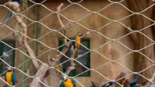 Qual é a aparência de uma malha de cabo de aço inoxidável tecido